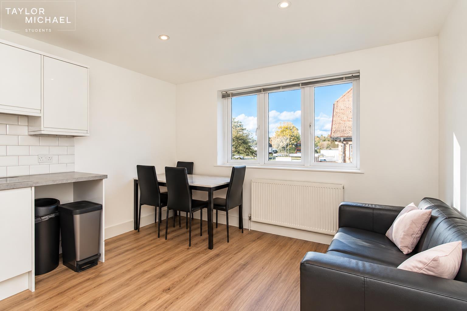 Kitchen / Living Space